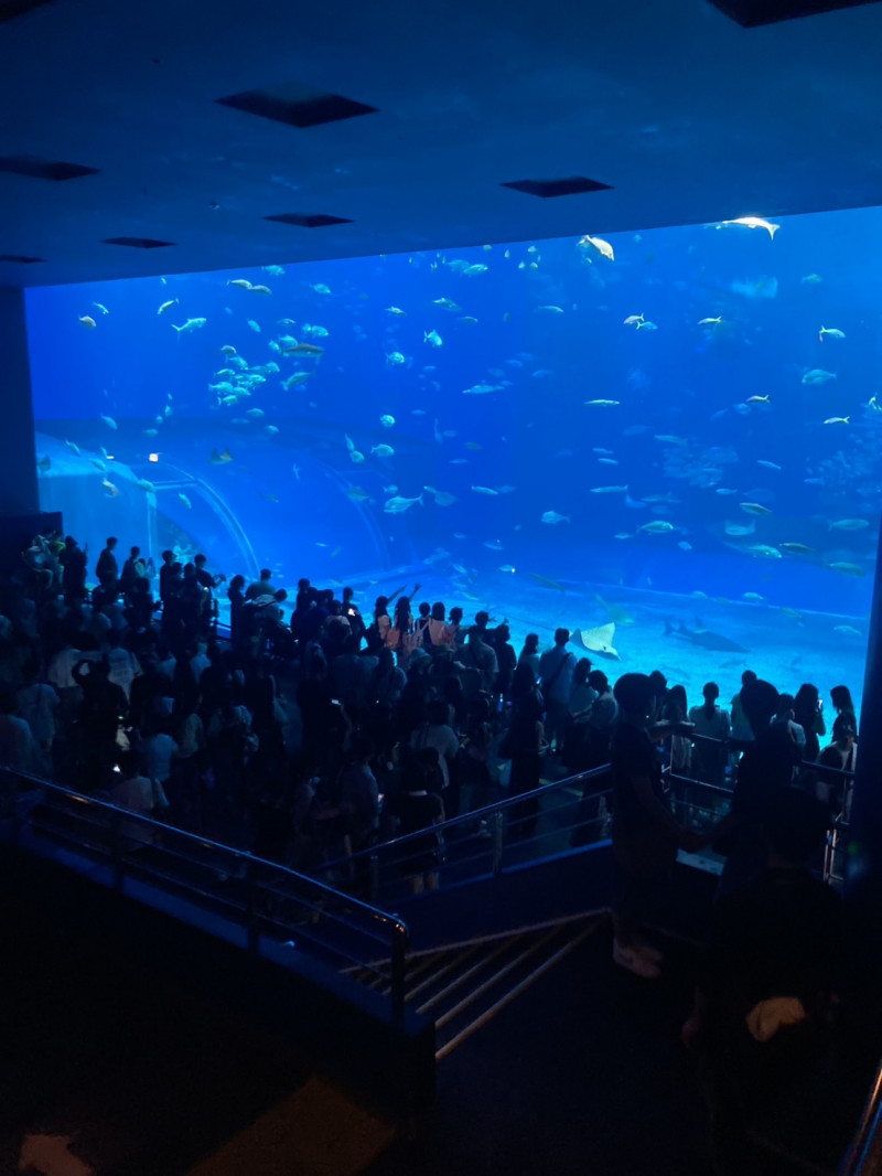 画像 -20251008-034347-e3f467ac
