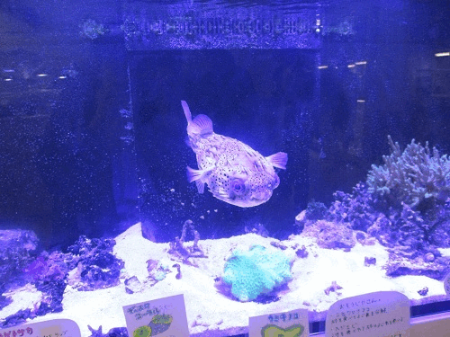 uea4peySdVcOfmypwQZw1767681469-1767681507